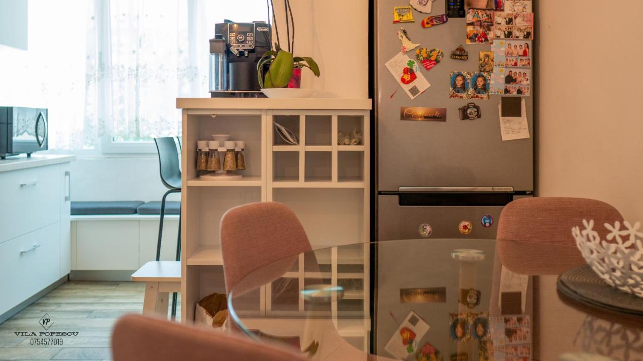 Apartament Popescu Călimăneşti Εξωτερικό φωτογραφία